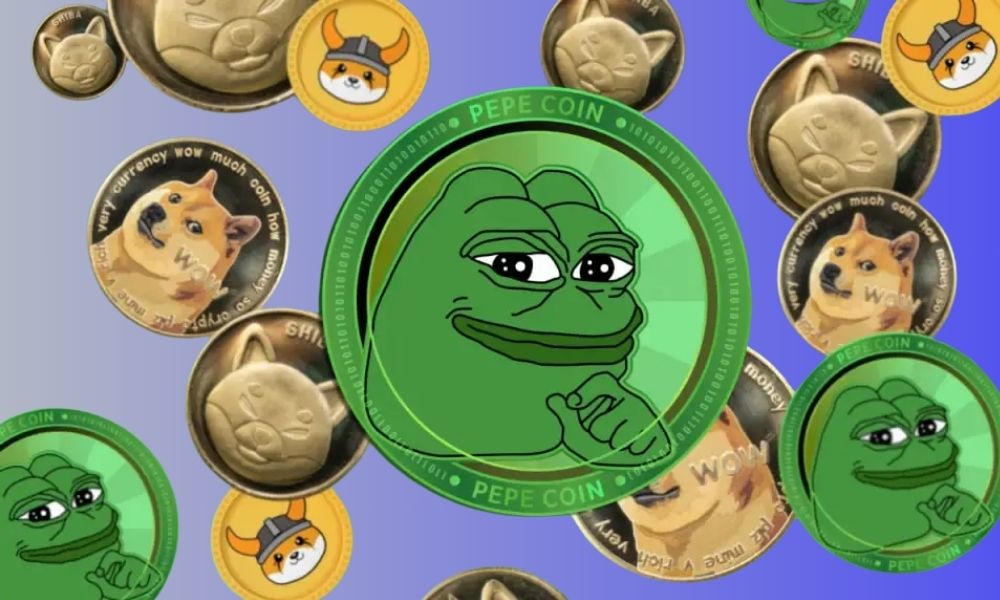 long term potential of meme coins