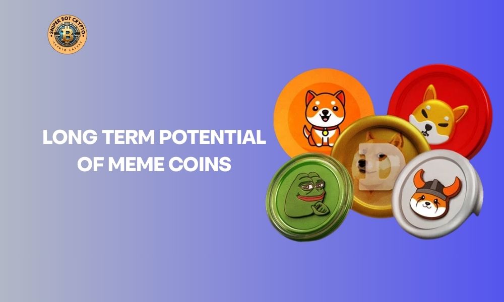 long term potential of meme coins